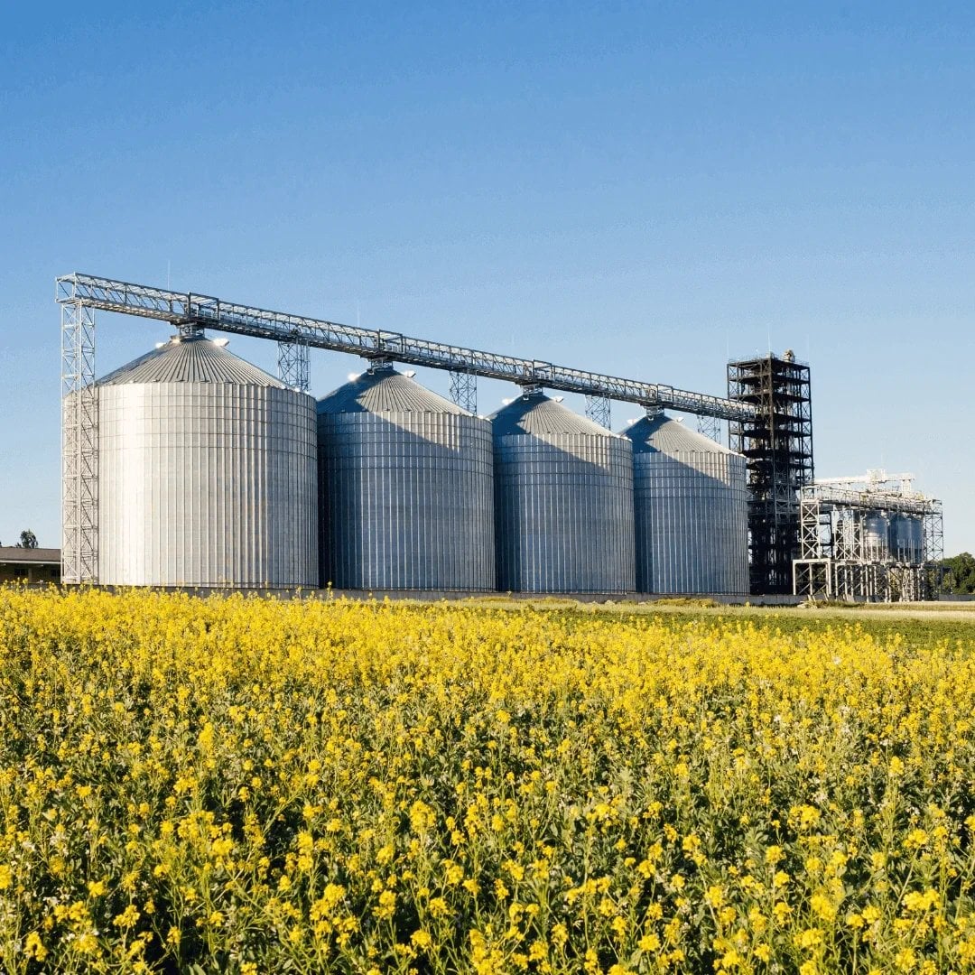 Silos de armazenamento de grãos em campo florido
